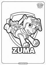 Patrol Zuma Coloringoo Rescue Zumas sketch template