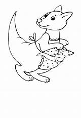 Baby Kangaroo Coloring Mother Pages sketch template