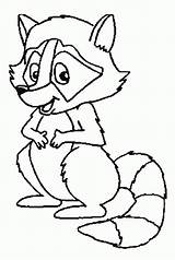 Raccoon Guaxinim Racoon Colorir Animal Raccoons Everfreecoloring Desenhos Mulan Princess Gatos sketch template