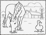 Mewarnai Kuda Lumping Coloring sketch template