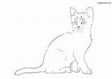 Katze Gatos Kätzchen Katzen Ausmalbild Ausmalbilder Sitzendes Siluetas Faciles Ausdrucken Colomio sketch template