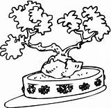 Coloring Tree Bonsai Pages Cake Clipartbest Designs sketch template