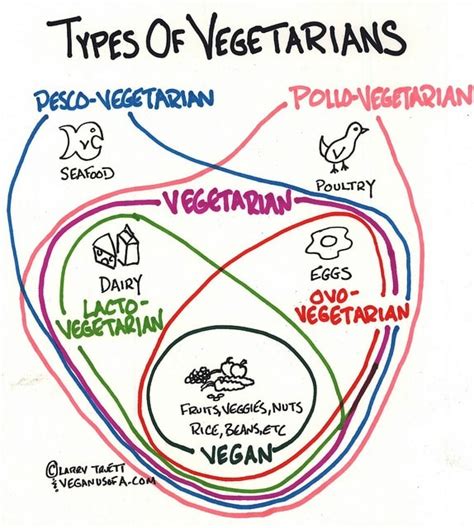vegetarian lifestyle  meal ideas  teens carewomen
