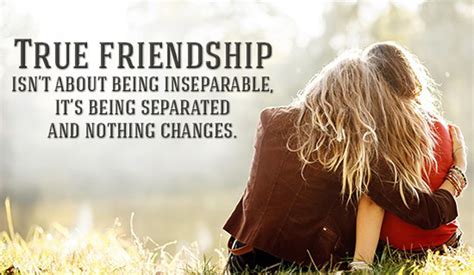 emotional friendship messages  quotes wishesmsg