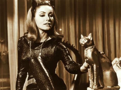 top 5 catwomen of film and television