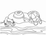 Coloring4free Kanak Praias Paling Indah Ringkasan Rocks Dolphins Worksheets sketch template