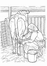 Vaca Kuh Koe Colorir Kleurplaten Kleurplaat Cow Vache Dieren Coloriages Mucche Desenhos Vacas Mewarnai Sapi Koeien Animasi Cows Milking Krowy sketch template