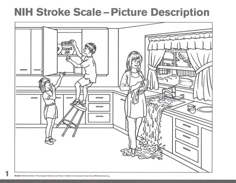 printable nih stroke scale pocket card