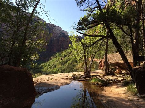 don t let the crowds scare you emerald pools hike in zion