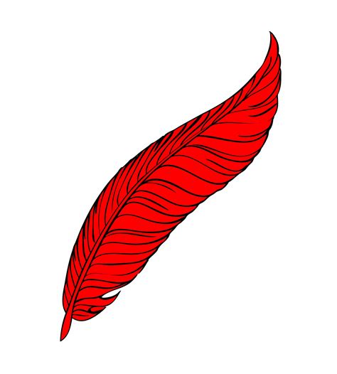 red feather  art  stock photo public domain pictures