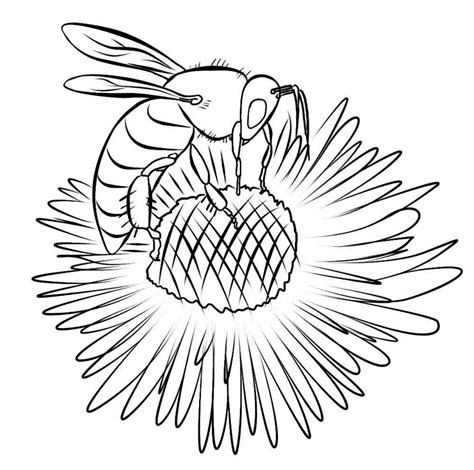 bees coloring pages coloring home