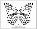 Coloring Monarch Onelittleproject sketch template