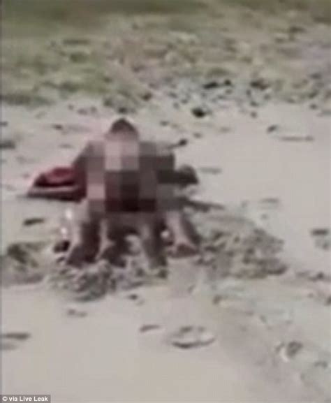 video shows a couple having sex on a public beach in brazil daily mail online