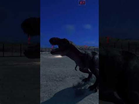 rex hunting prey  roars  san diegojwe jurassic rexy shorts