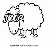 Imagini Mouton Colorat Desene Moutons Coloriages Miel Carneiros Gratuit sketch template
