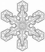 Coloring Pages Adults Adult Holiday Color Snowflake Printable Transparent Mandala Print Mental Getdrawings Nourish Simple Getcolorings Comments sketch template