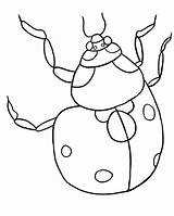 Ladybug Kolorowanki Biedronka Cycle Lb2 Dzieci Graphics sketch template