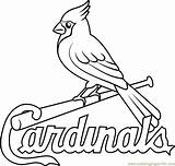 Cardinals Astros Fredbird Boise Coloringpages101 sketch template