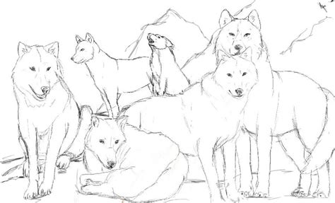 pack  wolves sketch clip art library