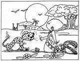 Colorir Bichos Leopard Quoteko Currency Animais sketch template