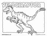 Velociraptor Coloring Dinosaur Jurassic Goodnight Timvandevall Tyrannosaurus Pteranodon sketch template