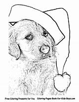 Coloring Christmas Pages Dog Puppy Golden Retriever Hard Cute Printable Drawing Print Animal Holiday Colouring Dogs Book Puppies Colorings Kids sketch template