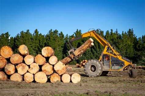 essentials  starting  timber harvesting company