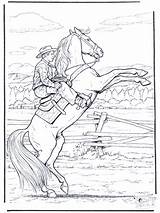 Pferd Ausmalbilder Malvorlagen Horse Cowboy Paard Pferde Cavalo Vaqueiro Selvagem Paarden Cavallo Colorare Cavalos Cavalli Impennato Steigert Caballo Corveta Weihnachten sketch template