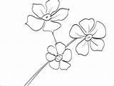 Forget Coloring Flower Getcolorings Printable Getdrawings sketch template