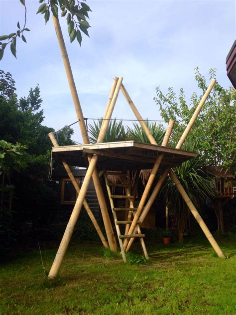 pin  david schell  treefort inspo backyard treehouse tree house designs tree house