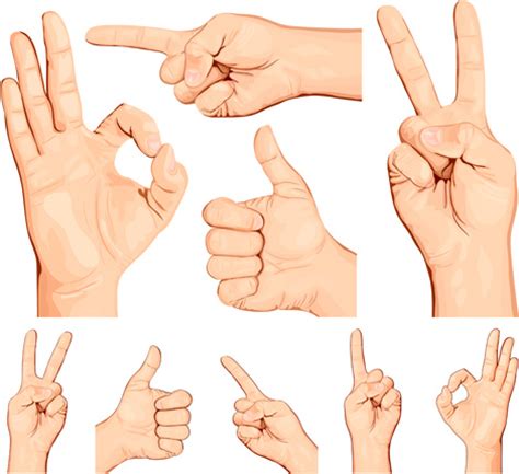 hand gestures vectors  vector    vector  commercial  format ai