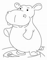 Hippopotamus Hippo Coloring Pages Heavy Hippos Cartoon Clipart Library Printable Popular sketch template