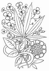 Coloring Pages Weed Trippy Marijuana Leaf Printable Adult Cannabis Adults Drawing Stoner Sheets Drawings Hemp Print Space Color Tattoo Pot sketch template