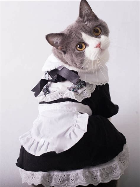 cat halloween costume maid black dress