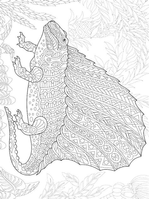 dinosaur coloring book  adults  svg file  silhouette