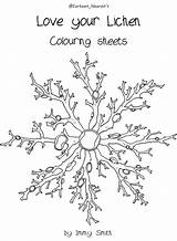 Lichens Coloring 87kb sketch template