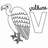 Coloring Vulture Pages Alphabet Animal Printable sketch template