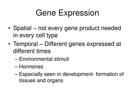 Ppt Regulation Of Gene Expression In Eukaryotes Powerpoint The 0 Hot