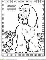 Spaniel Cocker Coloring Pages Dog Dogs Sheets Spaniels Color Book Education Adult Animal Pattern Cat Learn Breeds Mandala Choose Board sketch template