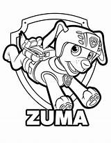 Canina Patrulla Everest Zuma Pintar sketch template