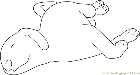 dog puppy sleeping coloring page  kids  dog printable coloring