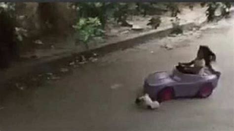 la niña que atropelló un gato con carro de juguete cumplió su sueño tras viralización del video