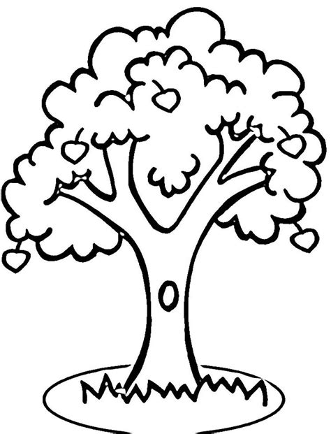apple tree printable coloring pages