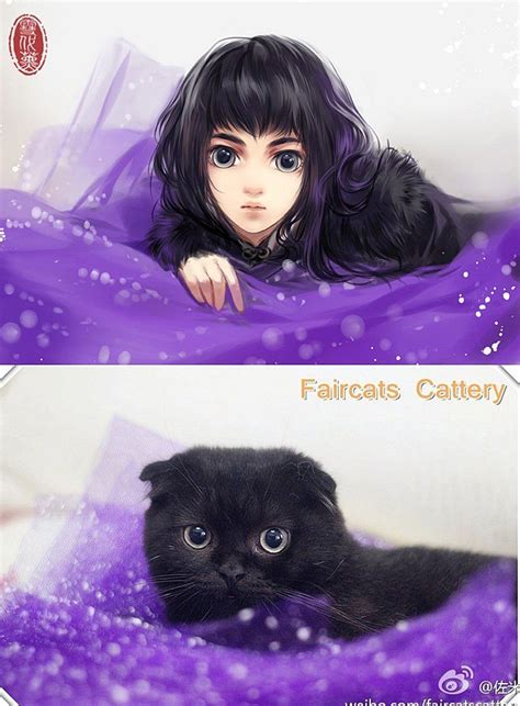 cats drawn  anime characters anime cat drawing anime art
