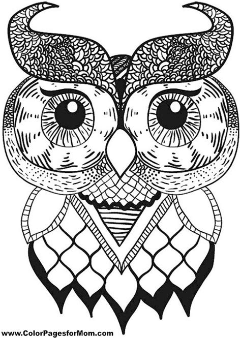 pin  paint owl  sadie