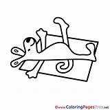 Coloring Sheets Sunbathe Printable Sheet Title sketch template
