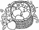 Apples Bushel Fruits Coloring Pages sketch template