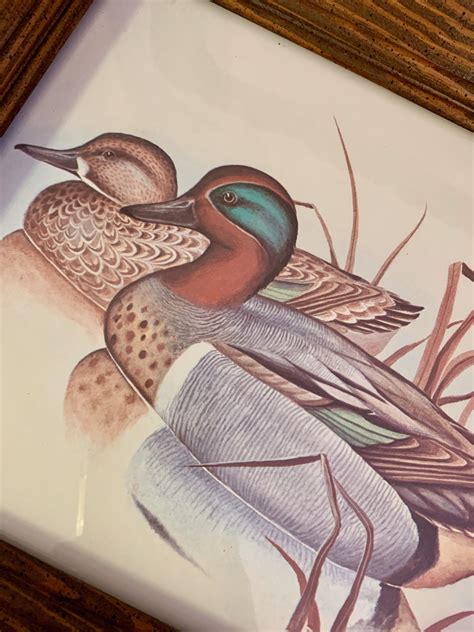 mallard duck picture gregory  messier print artist painting home interior picture wildlife