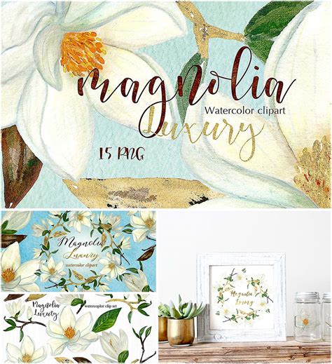 magnolia watercolor clipart free download