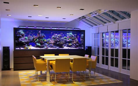 stunning home aquarium ideas